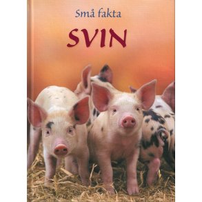 Sm fakta: Svin 