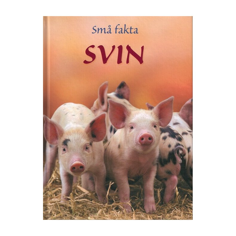 Sm fakta: Svin 