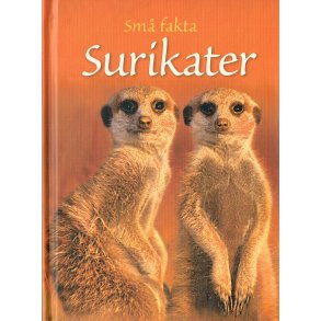 Sm fakta: Surikater 