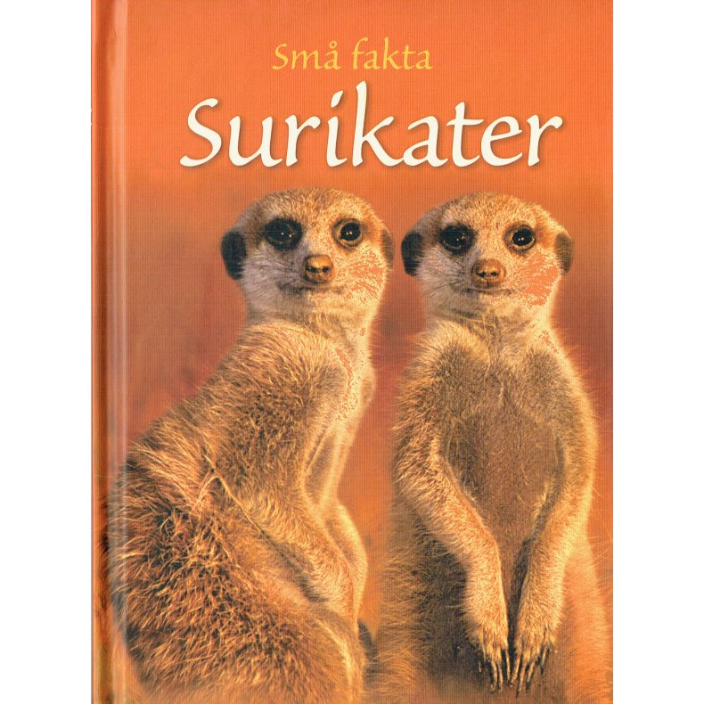 Sm fakta: Surikater 