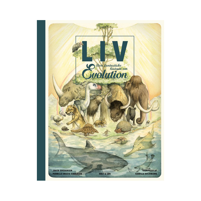 Liv. Den fantastiske historie om evolution 