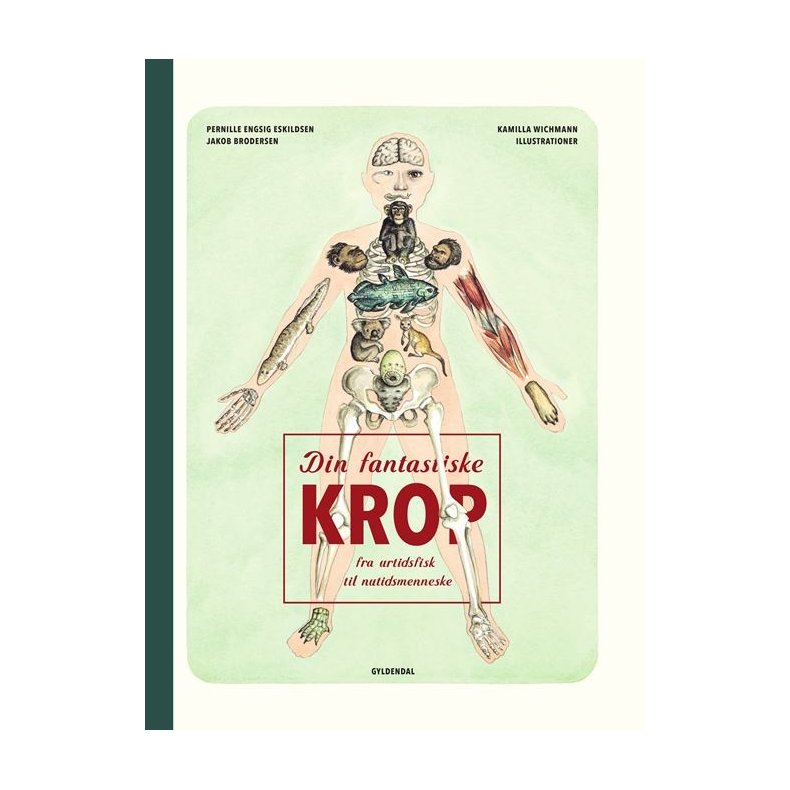 Din fantastiske krop - fra urtidsfisk til nutidsmenneske 