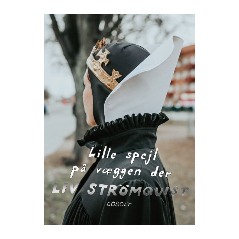 Lille spejl p vggen der 