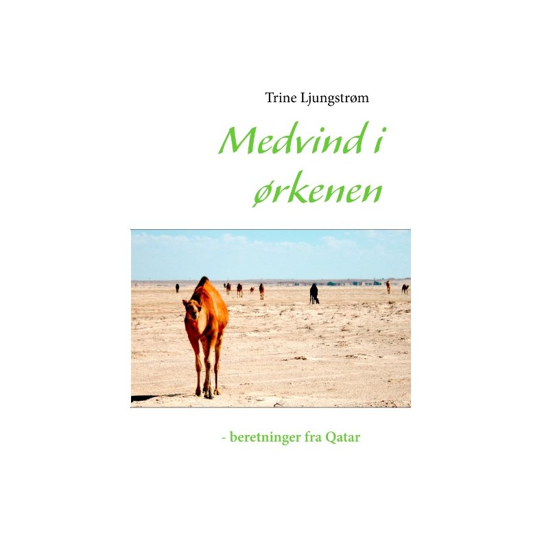 Medvind i rkenen - beretninger fra Qatar 