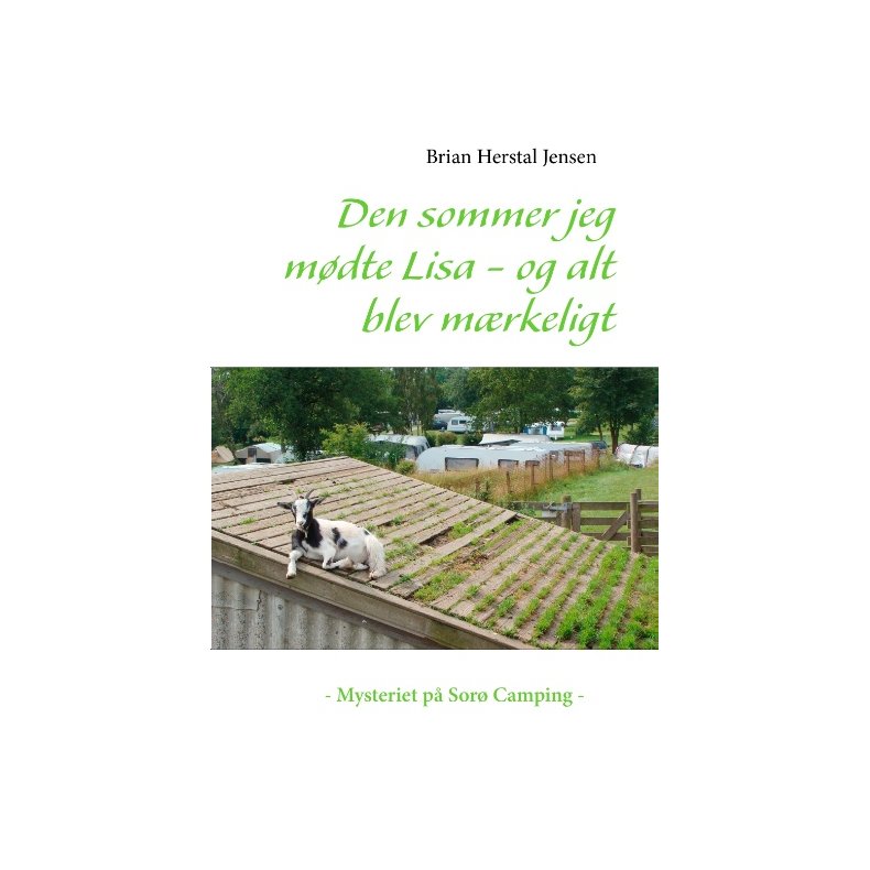 Den sommer jeg mdte Lisa - og alt blev mrkeligt Mysteriet p Sor Camping