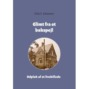 Glimt fra et bakspejl 