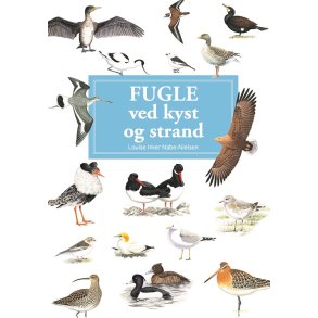 Fugle ved kyst og strand - display med 10 stk 