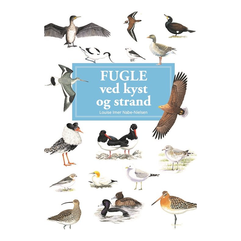 Fugle ved kyst og strand - display med 10 stk 