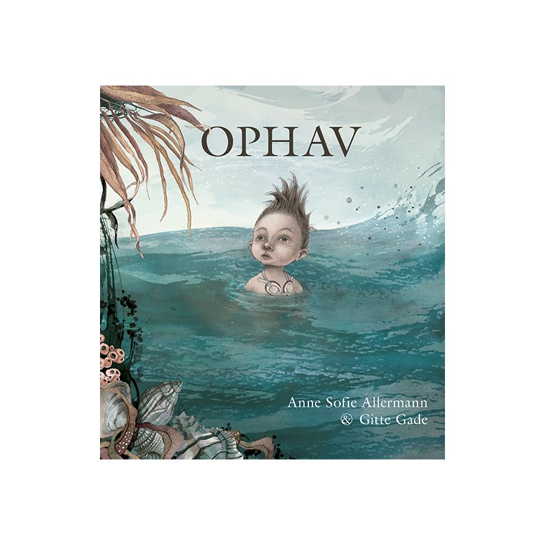 Ophav 