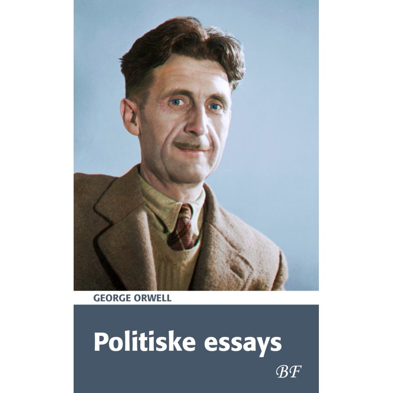 Politiske essays 
