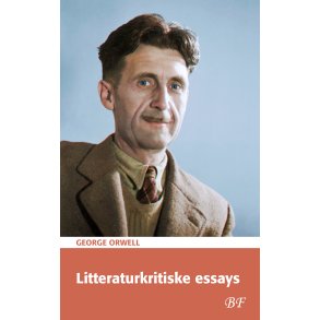 Litteraturkritiske essays 