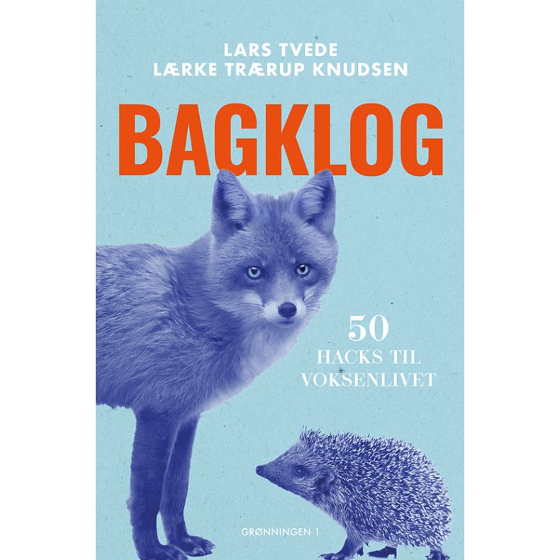 Bagklog 50 hacks til voksenlivet