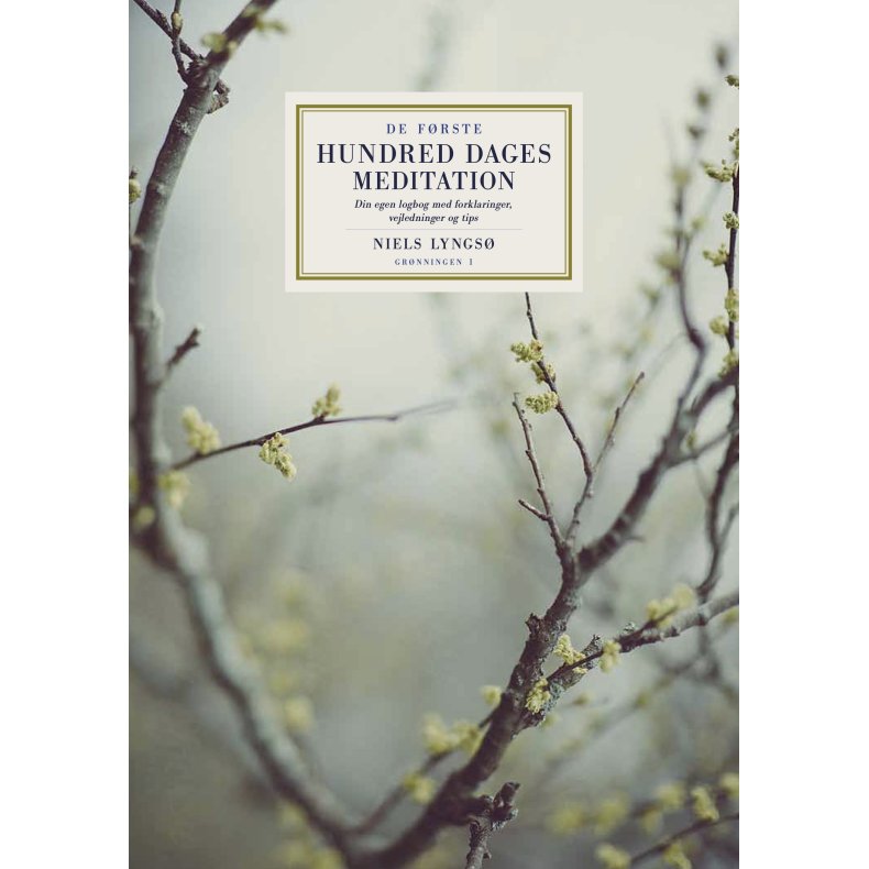 De frste hundred dages meditation Din egen logbog med forklaringer, vejledninger og tips