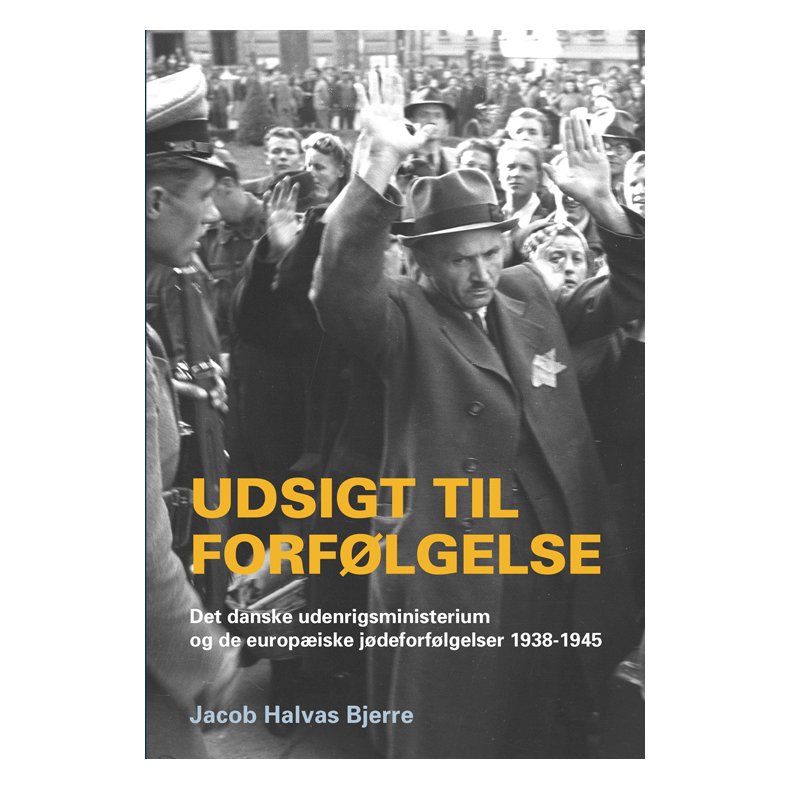 Udsigt til forflgelse det danske udenrigsministerium og de europiske jdeforflgelser 1938-1945