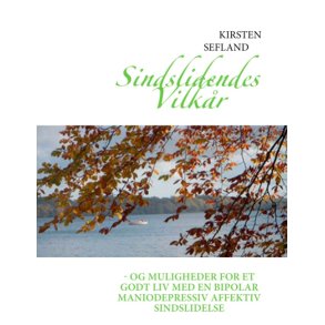Sindslidendes Vilkr - og muligheder for et godt liv med en bipolar maniodepressiv affektiv sindslidelse