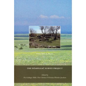 The Dzarylgac Survey Project 