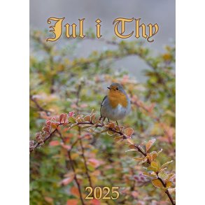 Jul i Thy 2025 