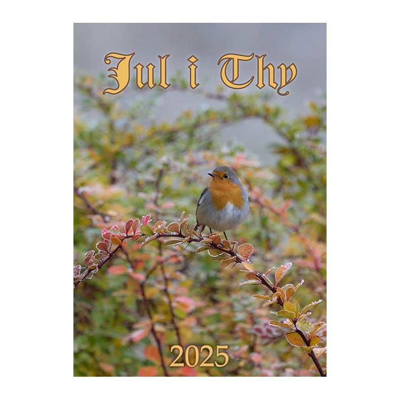 Jul i Thy 2025 