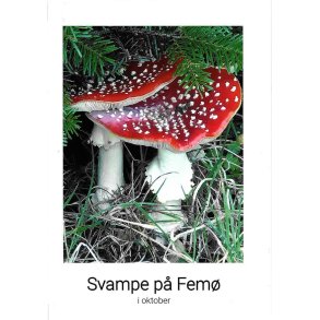 Svampe p Fem i oktober 