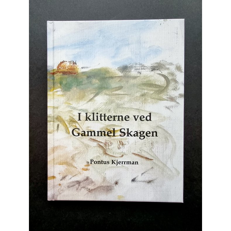 I klitterne ved Gammel Skagen 