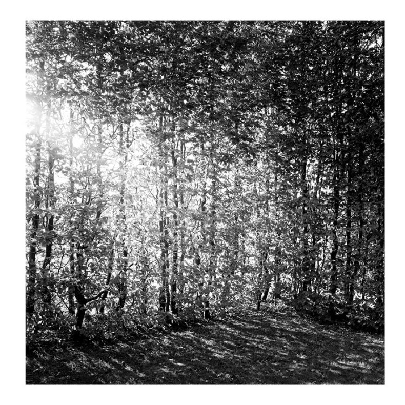 Et foranderligt monument 