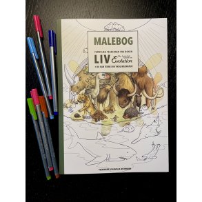 Malebog Farvelg tegninger fra bogen 'LIV den fantastiske historie om evolution'
