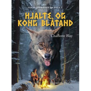 HJALTE OG KONG BLTAND Vikingedrengens saga  2