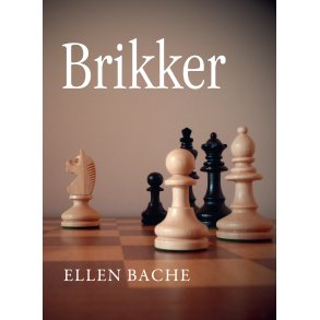 Brikker 