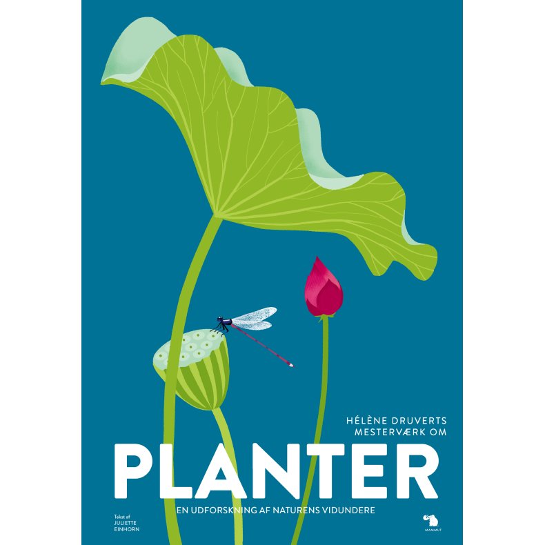 Planter En udforskning af naturens vidundere