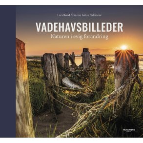 Vadehavsbilleder Naturen i evig forandring