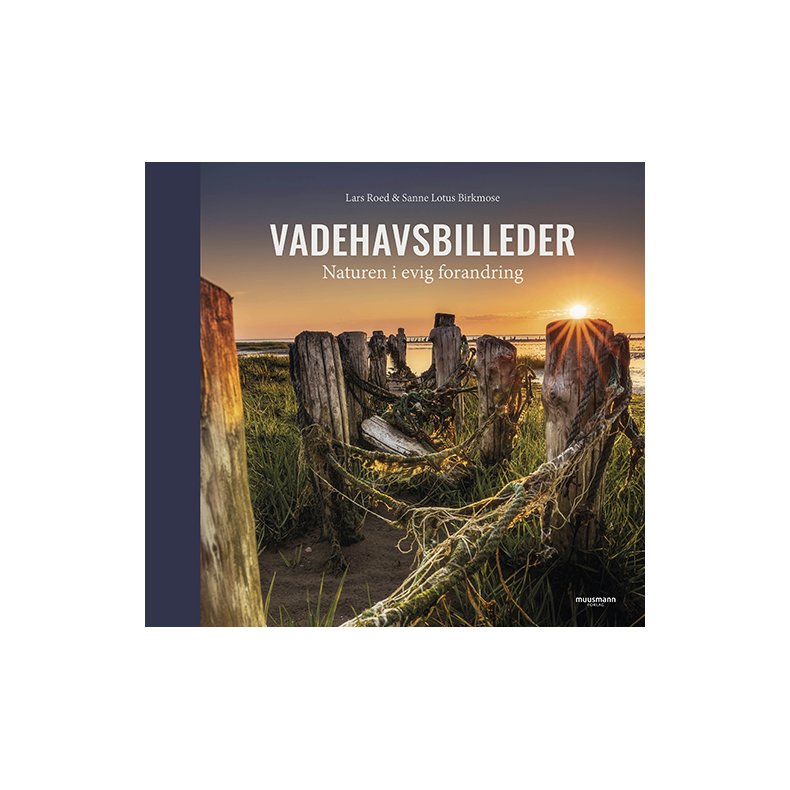 Vadehavsbilleder Naturen i evig forandring