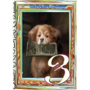 Sorg og Samfund nr. 3 Tidsskrift for poesi og mode