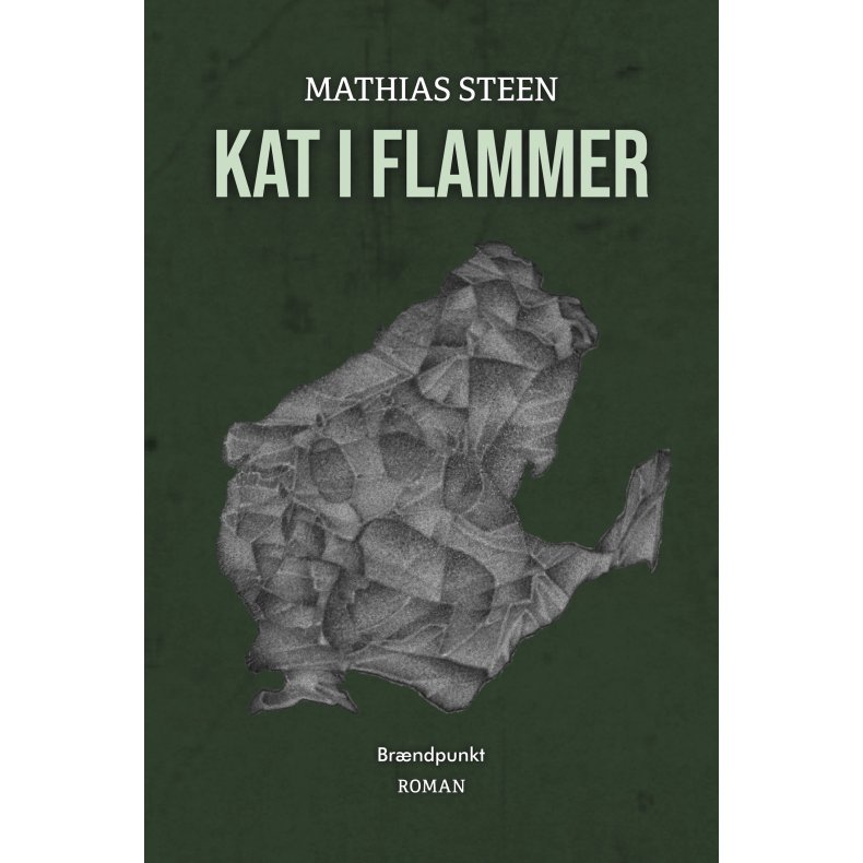 Kat i flammer 