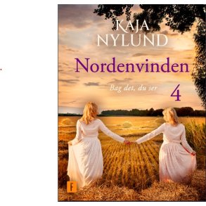 Bag det, du ser- Nordenvinden 4 
