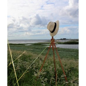 Theodor Philipsens Saltholm - En tidsrejse 