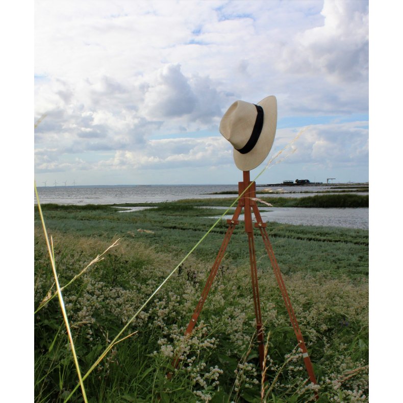 Theodor Philipsens Saltholm - En tidsrejse 