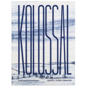 KOLOSSAL Grafik I store formater
