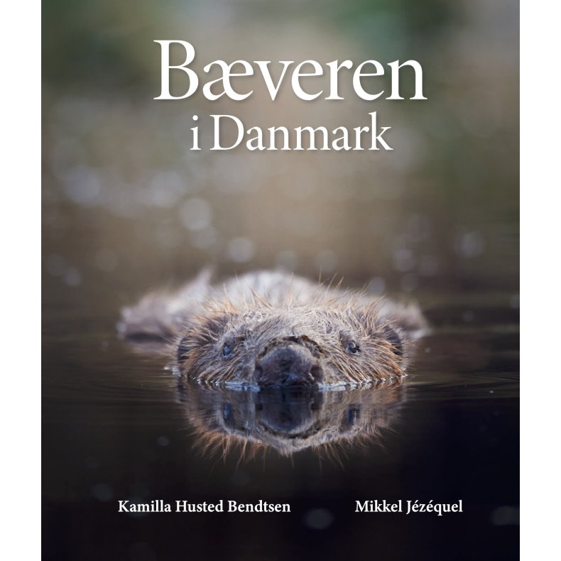 Bveren i Danmark 
