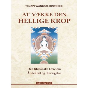 At vkke den hellige krop 