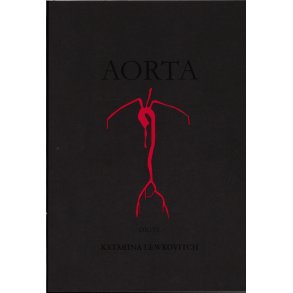 Aorta 
