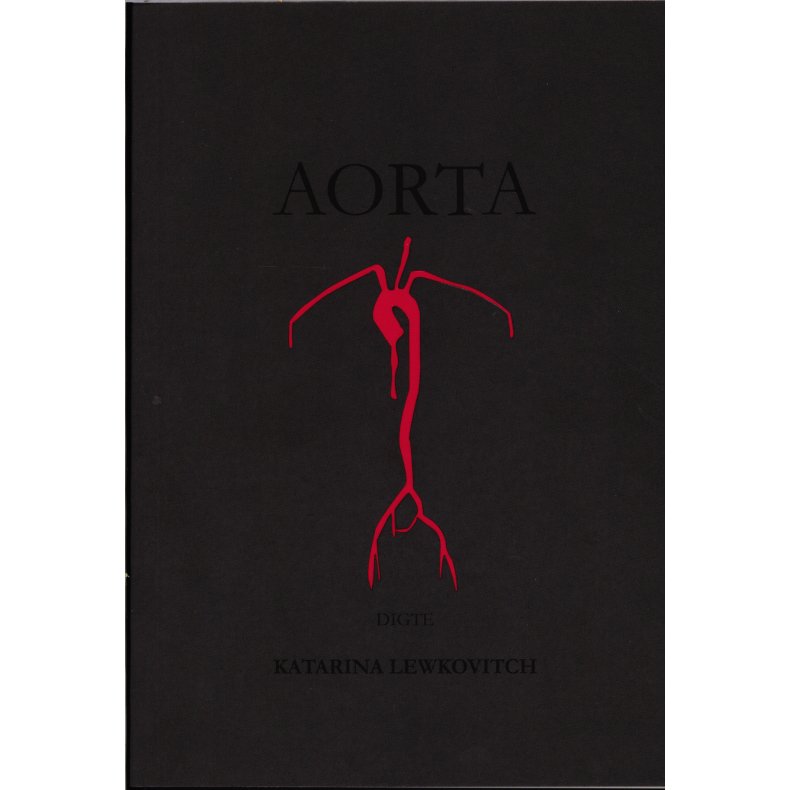 Aorta 