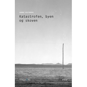 Katastrofen, byen og skoven 