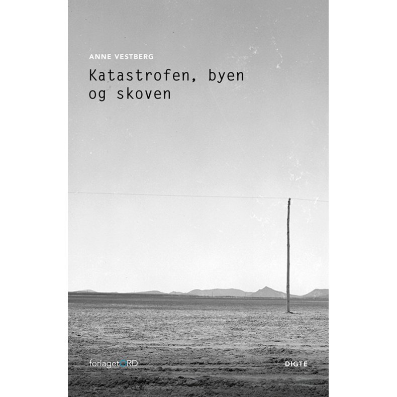 Katastrofen, byen og skoven 