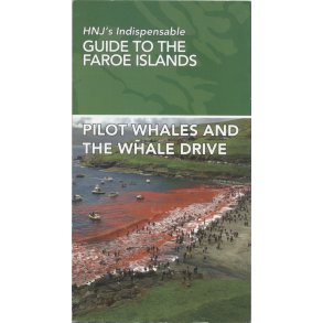 Pilot Whales And The Whale Drive HNJ's Indispensable Guide To The Faroe Islands