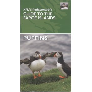 Puffins HNJ's Indispensable Guide To The Faroe Islands