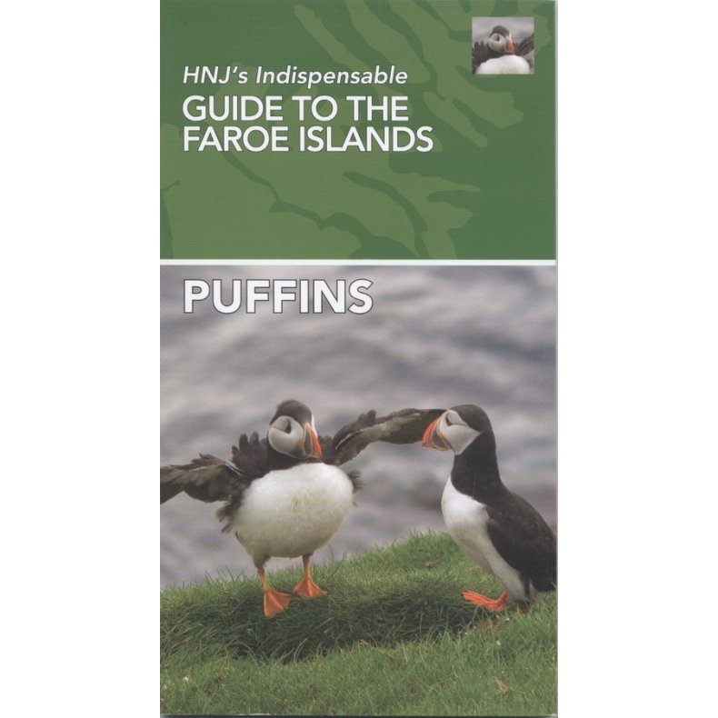 Puffins HNJ's Indispensable Guide To The Faroe Islands