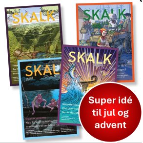 Skalk Junior FERIEPAKKE 3
