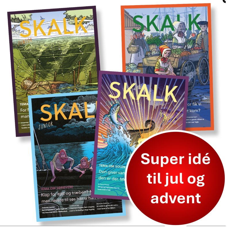 Skalk Junior FERIEPAKKE 3