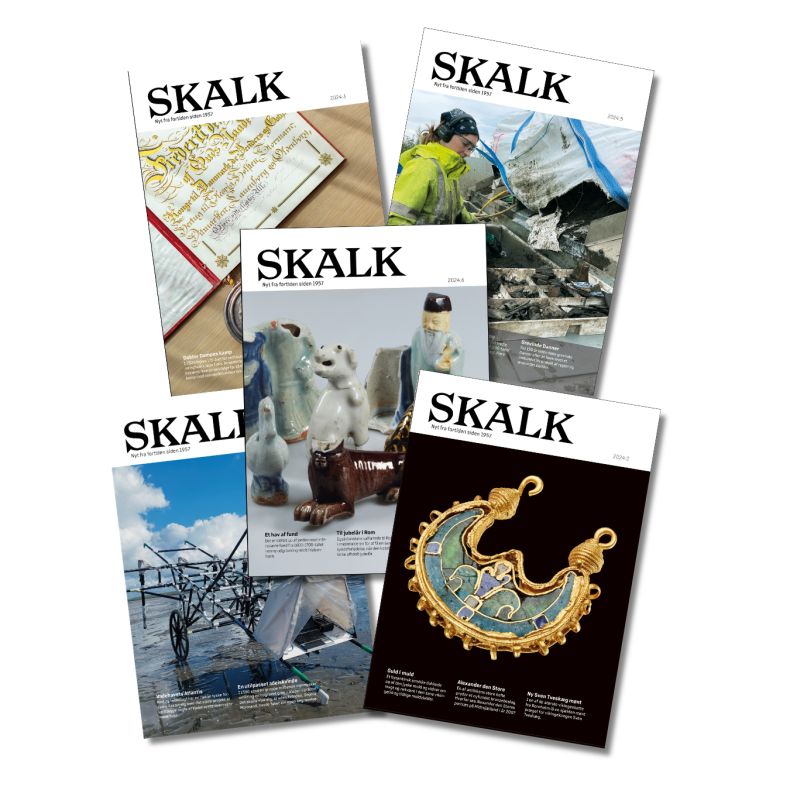 Skalk intropakke (5 stk.)